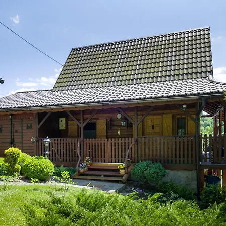 Andrzejowka Villa Kocon Exterior photo